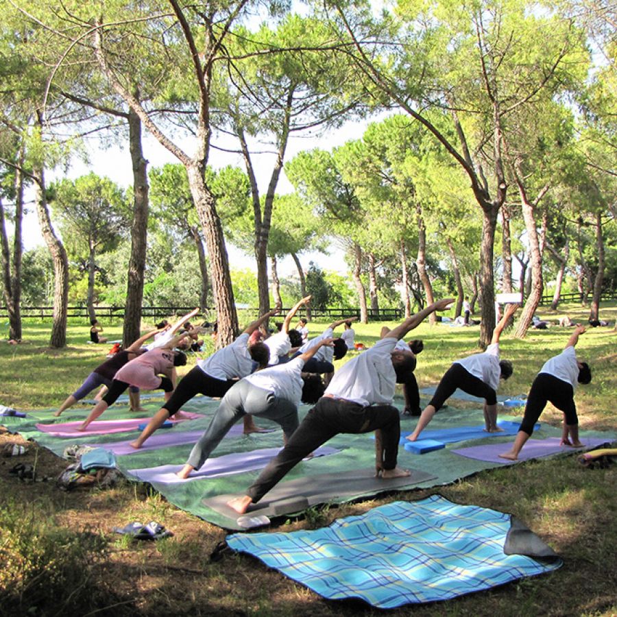 YOGA IN PINETA